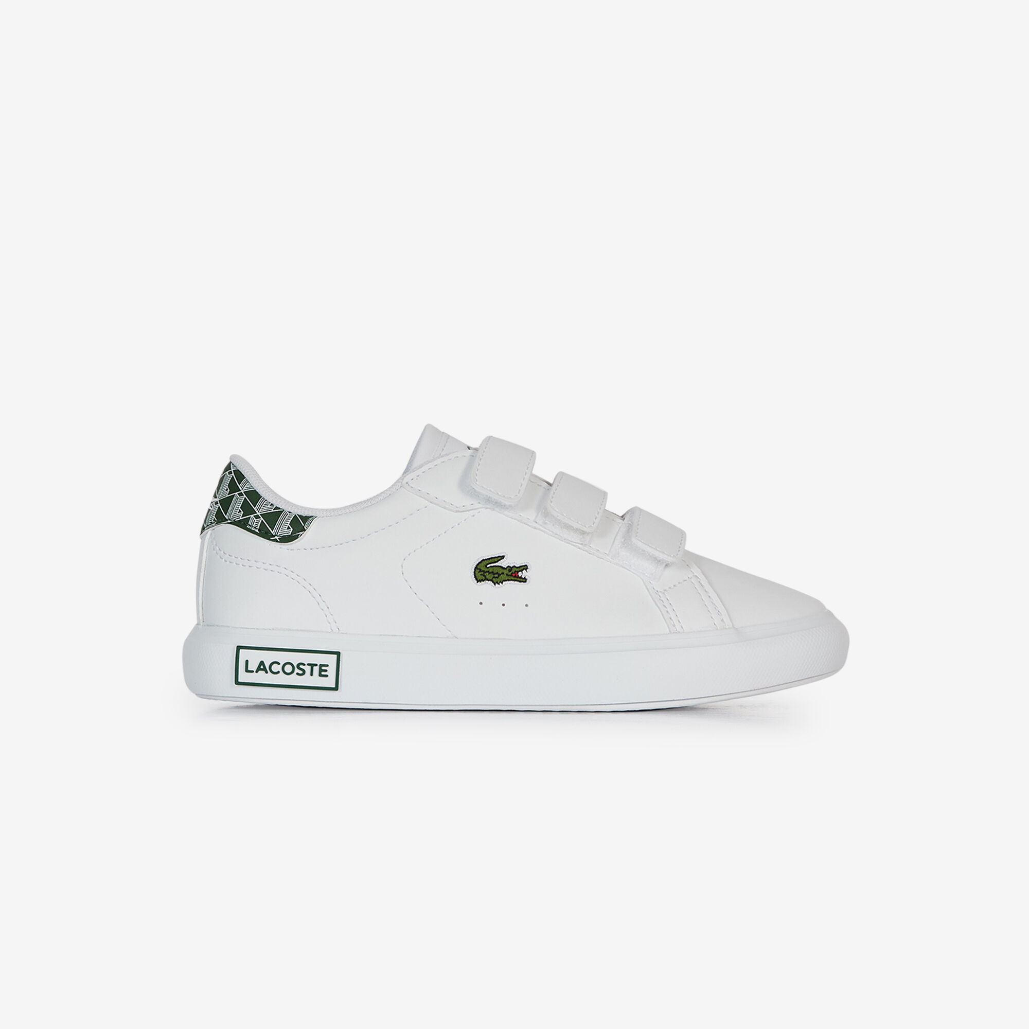 Lacoste carnaby evo scratch femme online