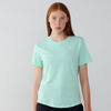 null : VERDE/BLANCO