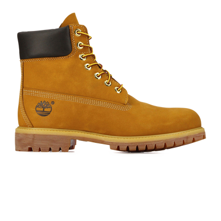 TIMBERLAND 6 inch 6 INCH BOOT CAMELLO HOMBRE