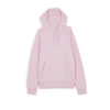 null : ROSA