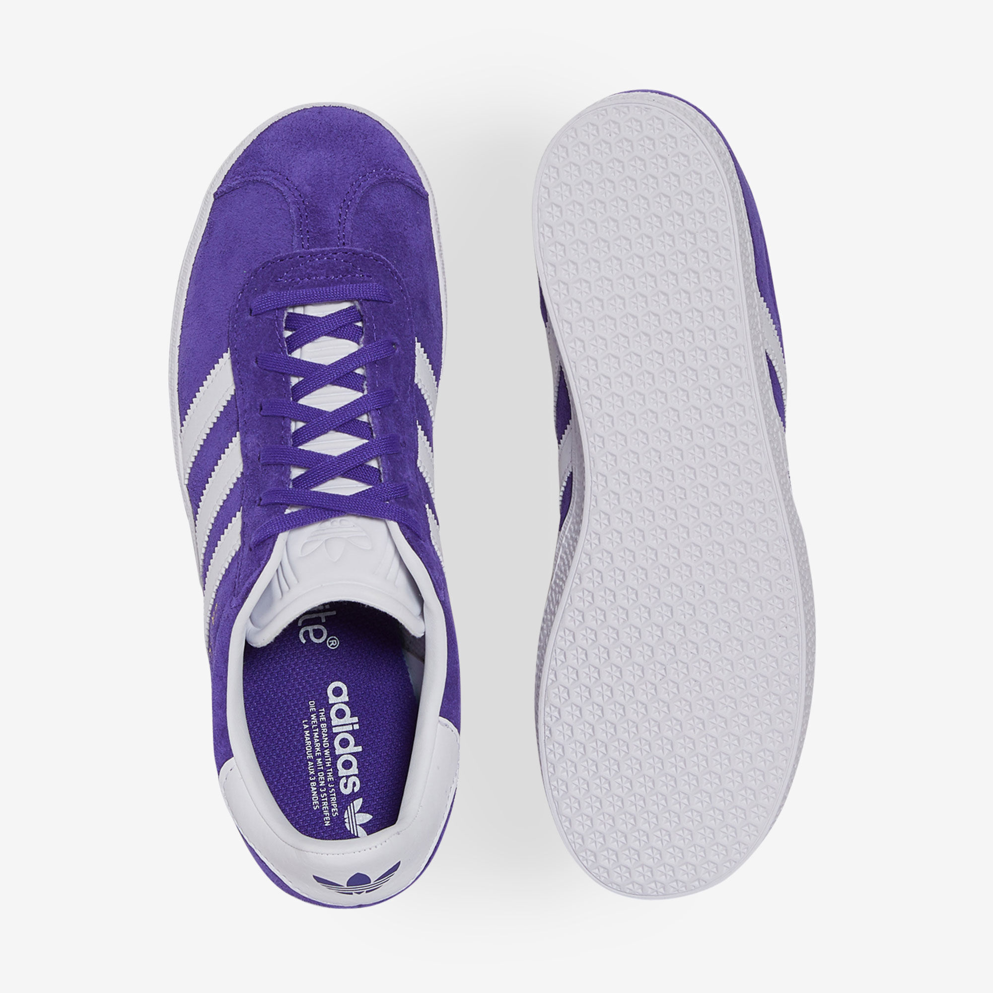 Adidas gazelle 2025 violeta