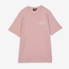 null : ROSA