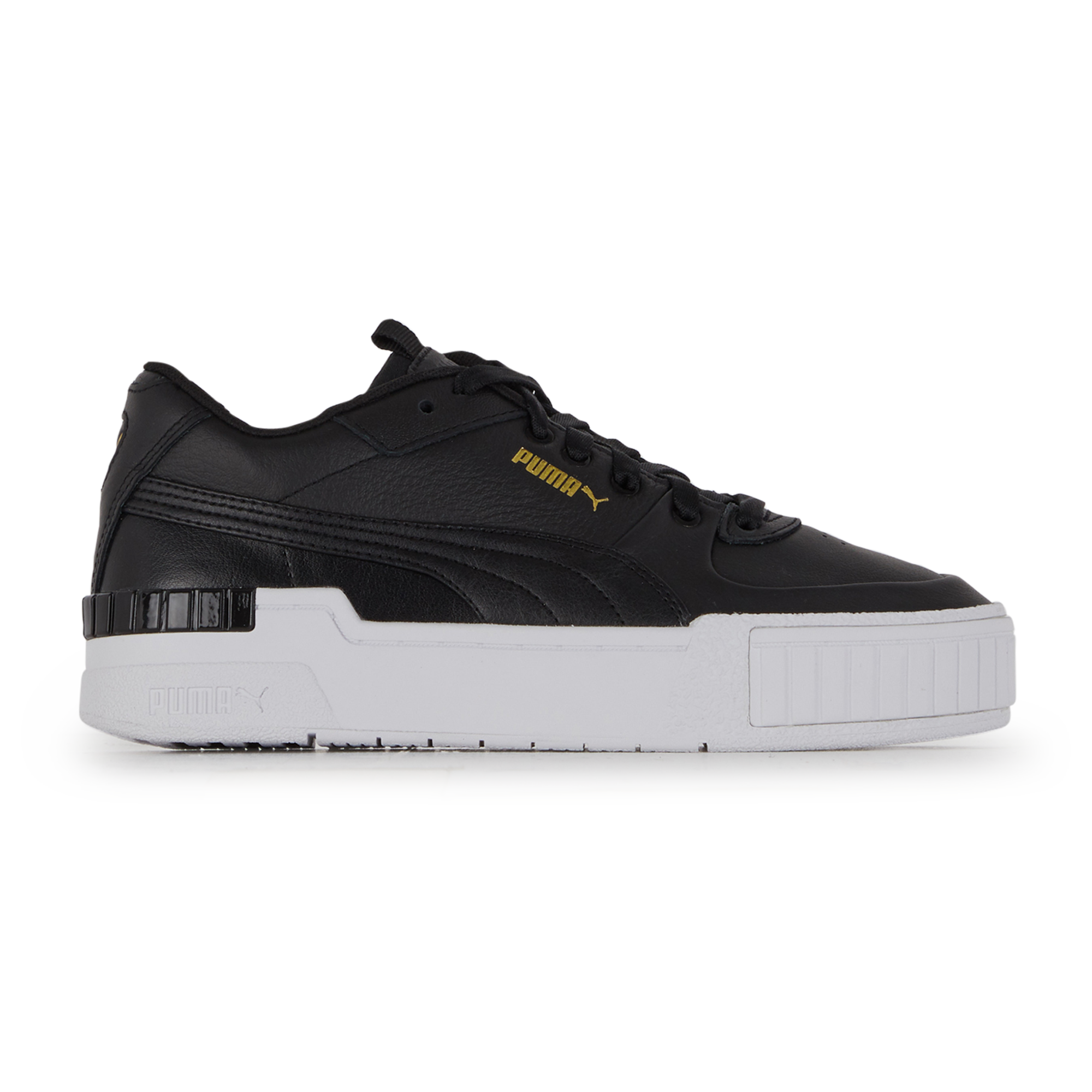 puma cali negro